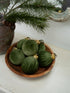 wooden bowl filled with forest green velvet baubles