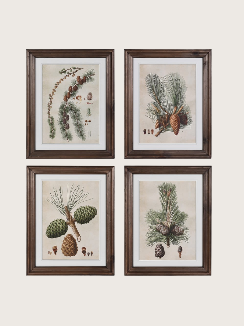 Four framed botanical prints featuring pinecones and branches on a beige background