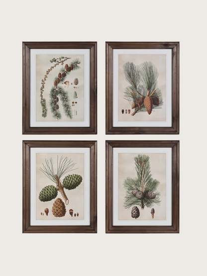 Four framed botanical prints featuring pinecones and branches on a beige background