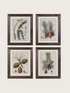 Four framed botanical prints featuring pinecones and branches on a beige background