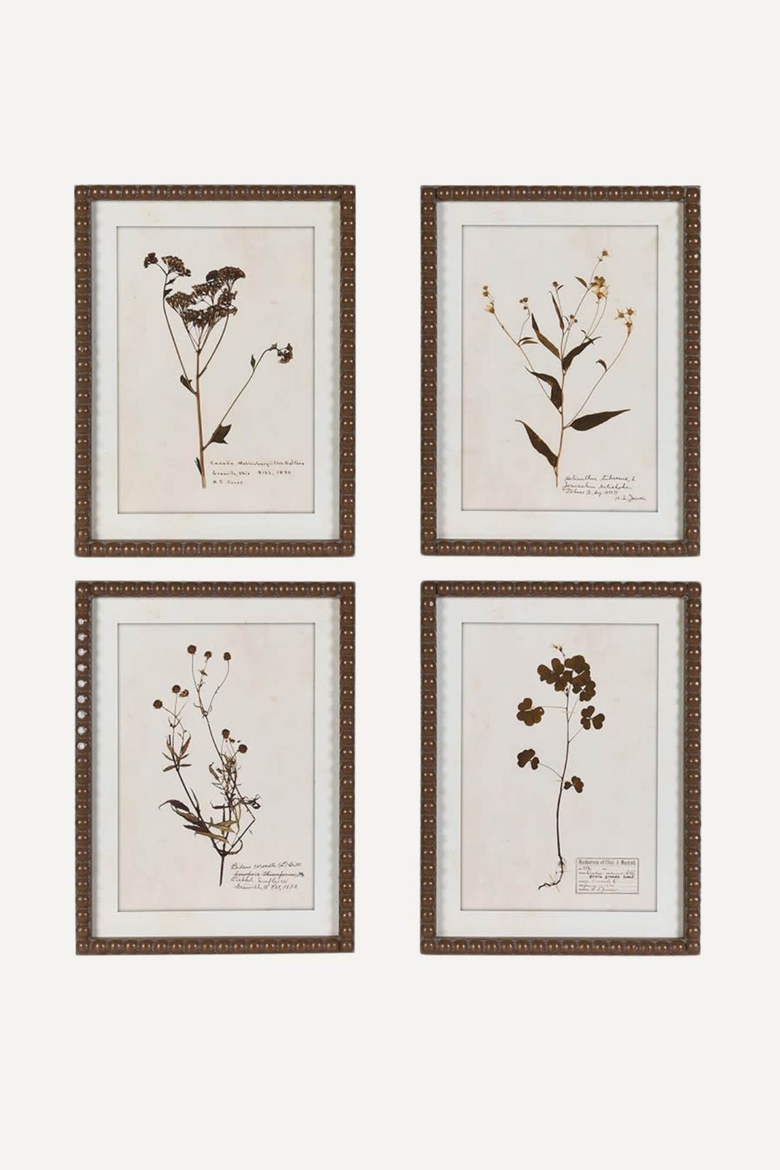 Framed Delicate Floral Pictures | Set of 4