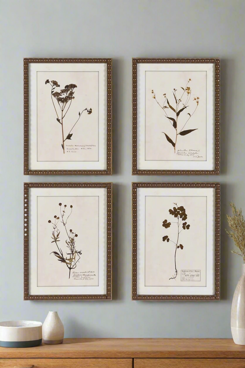 Framed Delicate Floral Pictures