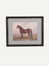 Framed Vintage Stallion Horse Wall Art