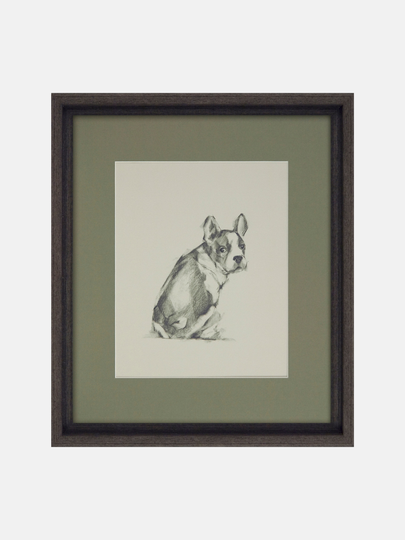 French Bull Dog Puppy Dog Framed Wall Art