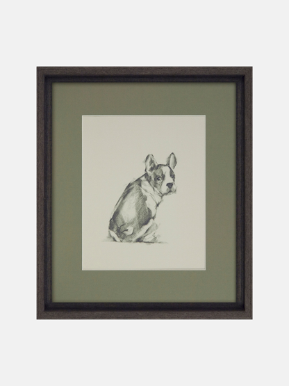 French Bull Dog Puppy Dog Framed Wall Art
