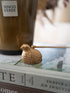 A small gold-toned bird-shaped candle snuffer object with a long thin handle, resting on top of a book, with a blurred brown bottle in the background.