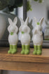 Green Hear, See, Speak Floral Bunnies