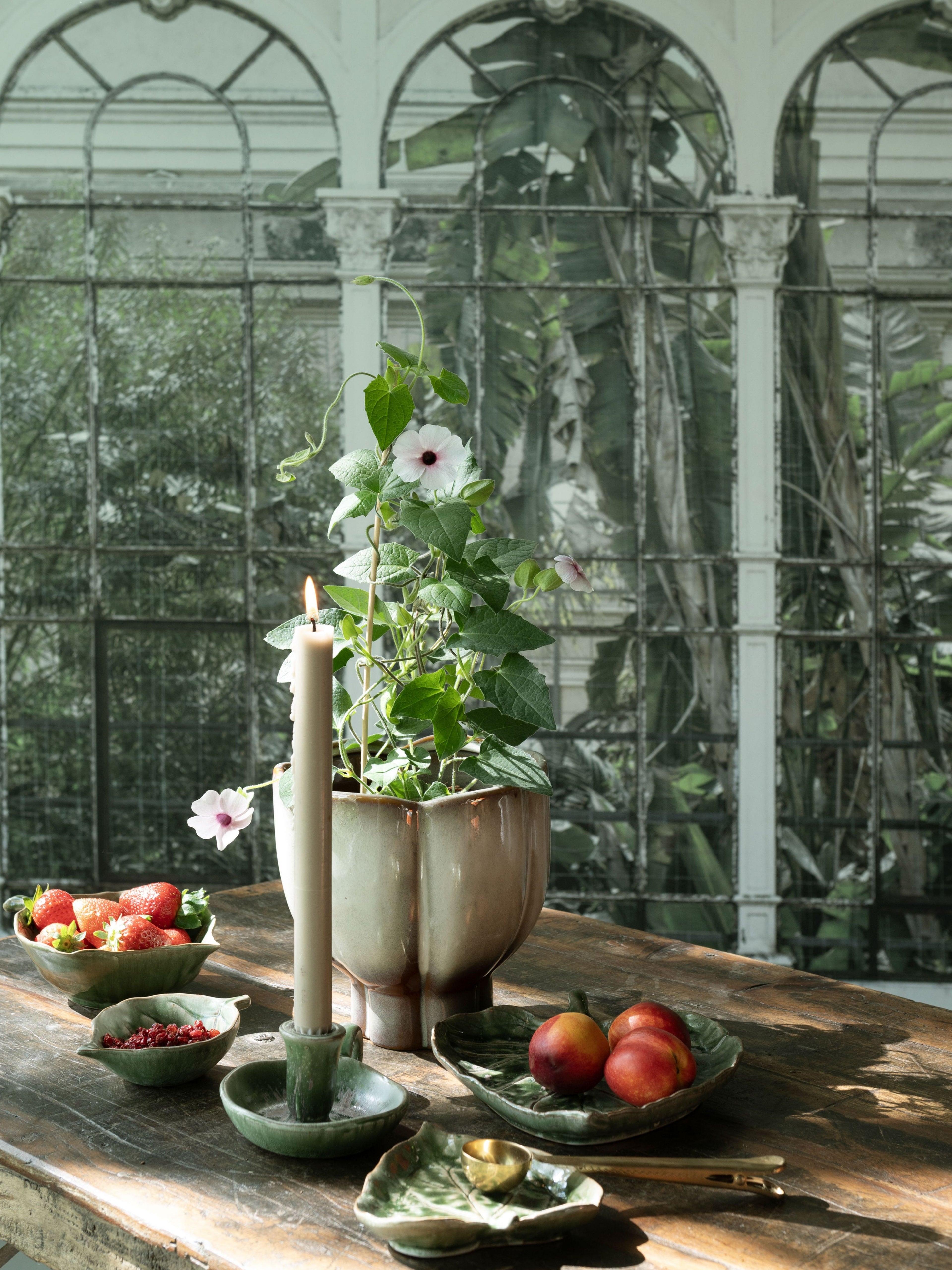 Table setting with fruit, flowers, and a candle in a greenhouse.