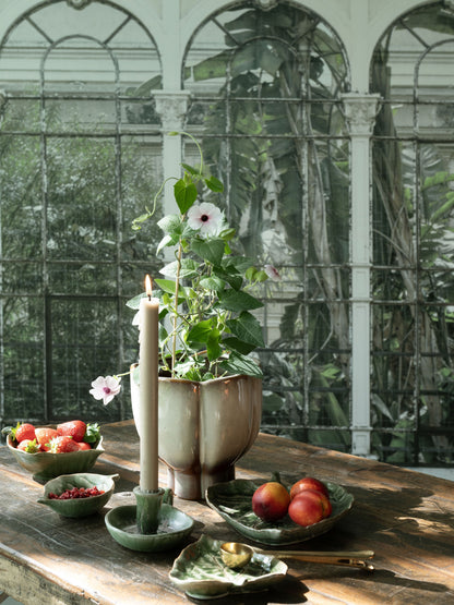 Table setting with fruit, flowers, and a candle in a greenhouse.