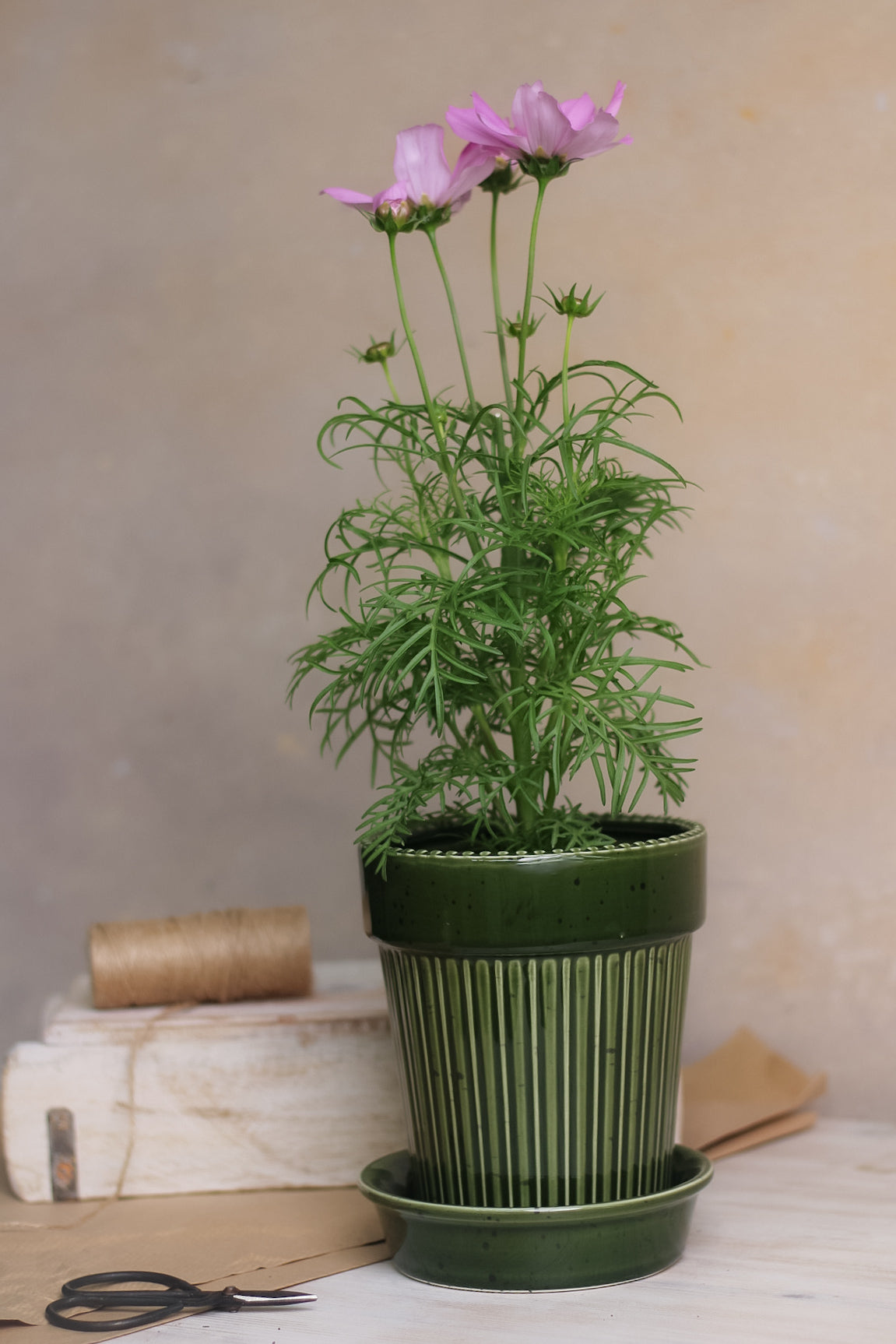 Green Striped Planter for home decor