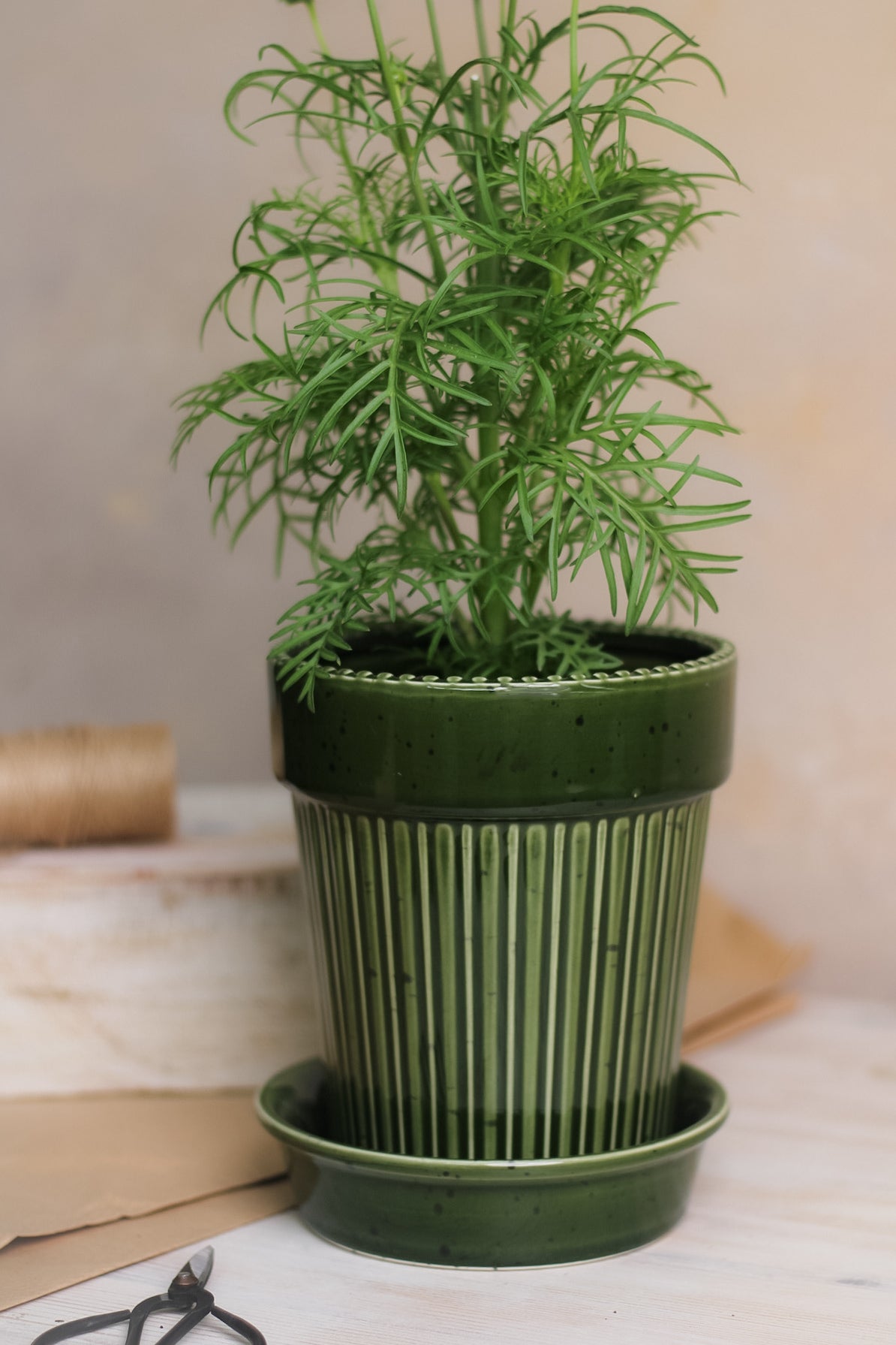 Green Striped ceramic Planter for beautiful home decor