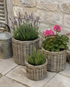 Grey Buff Round Rattan Planter