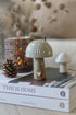 Grey Wooden Mushroom House