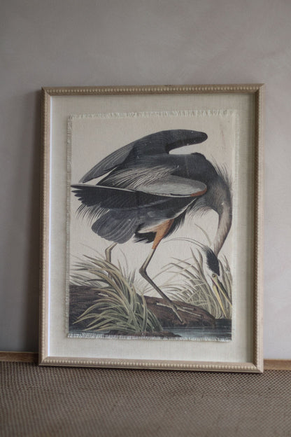 Framed artwork of a bird in a natural setting on a neutral wall.