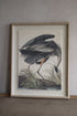 Framed artwork of a bird in a natural setting on a neutral wall.