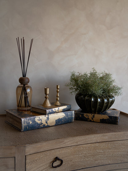 Decorative items including a diffuser, candles, and a plant on a wooden surface with a neutral background.
