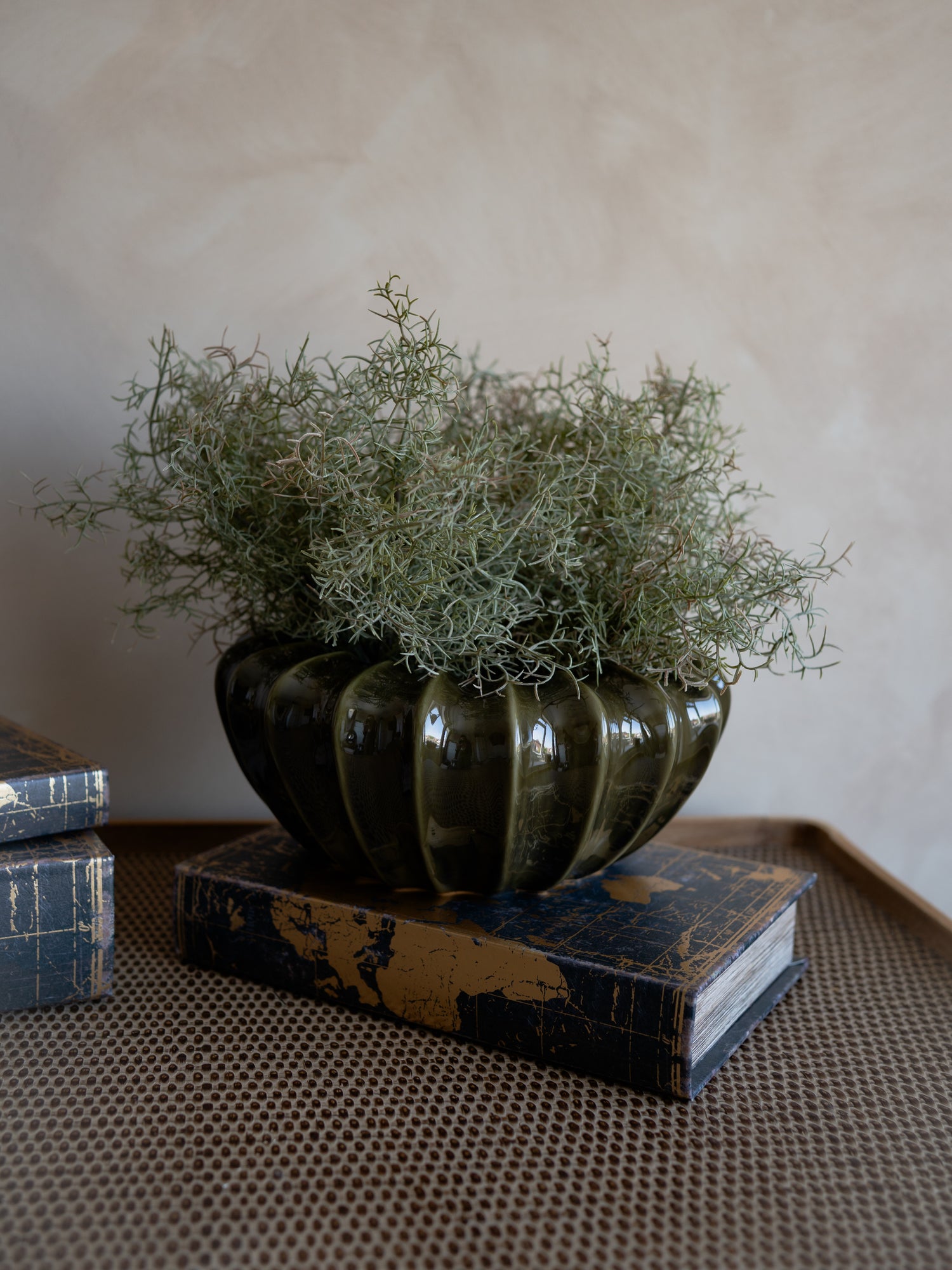 Decorative plant in a ribbed pot on top of vintage books with a neutral background