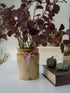 Decorative setup with potted plants, pumpkins, and a book on a white surface.