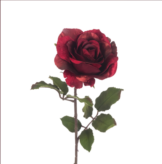 Luxury Red Rose Stem