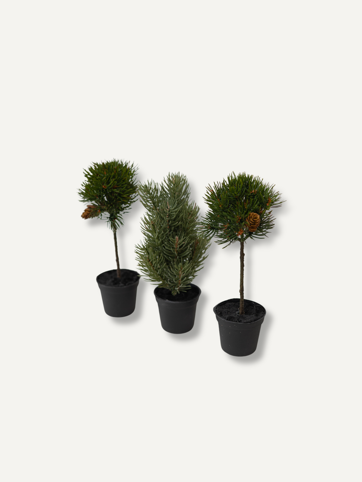 Three small artificial evergreen trees in black plastic pots, displayed against a plain off-white background.