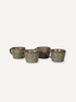 Four ceramic mugs with brown rims on a white background, perfect for a modern country home