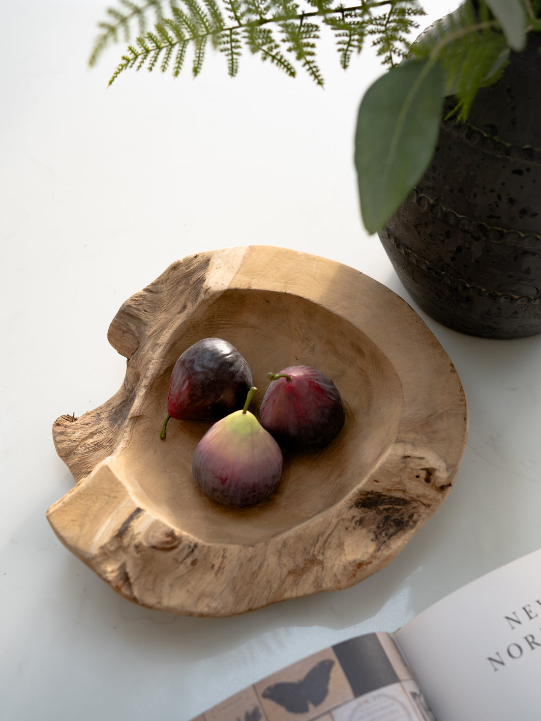 Wooden bowl with figs on a white surface with a plant in the background