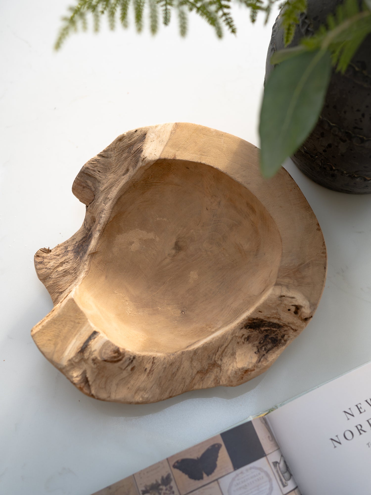 Wooden bowl with natural edge on a light surface with a plant in the background