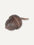 Natural Wooden Acorn