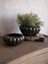 Two dark olive green planters with plants on a textured surface