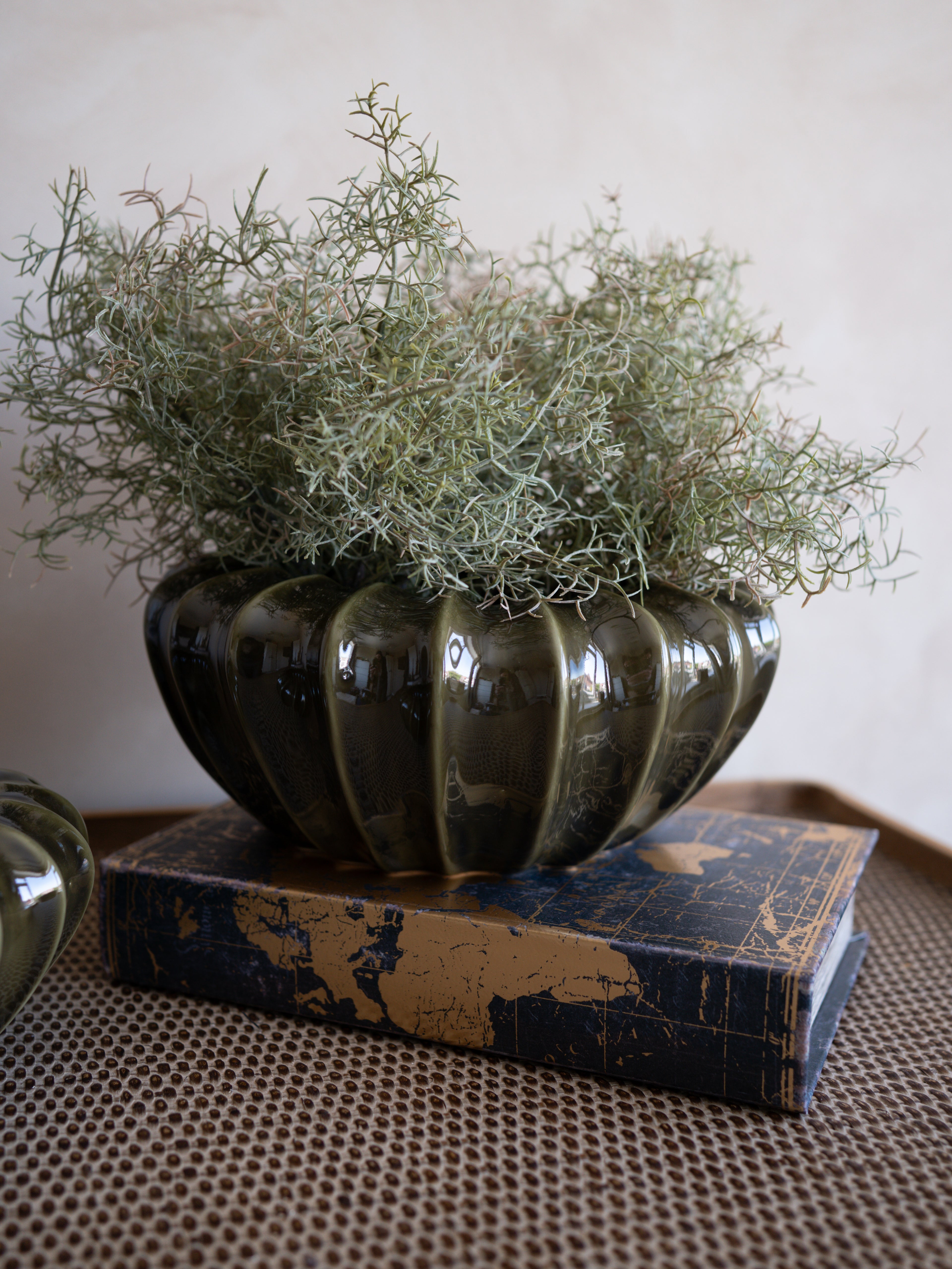 Decorative olive green pot with plants on a textured surface
