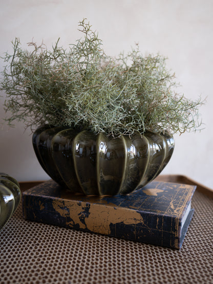 Decorative olive green pot with plants on a textured surface