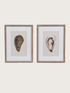 Oyster Framed Wall Art | Set of 2