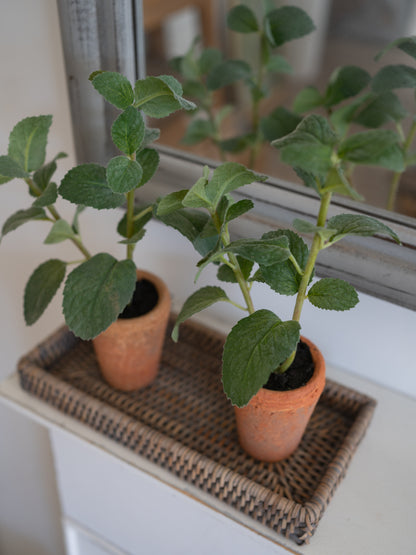 Two potted faux herb plants on a woven tray with a mirror in the background