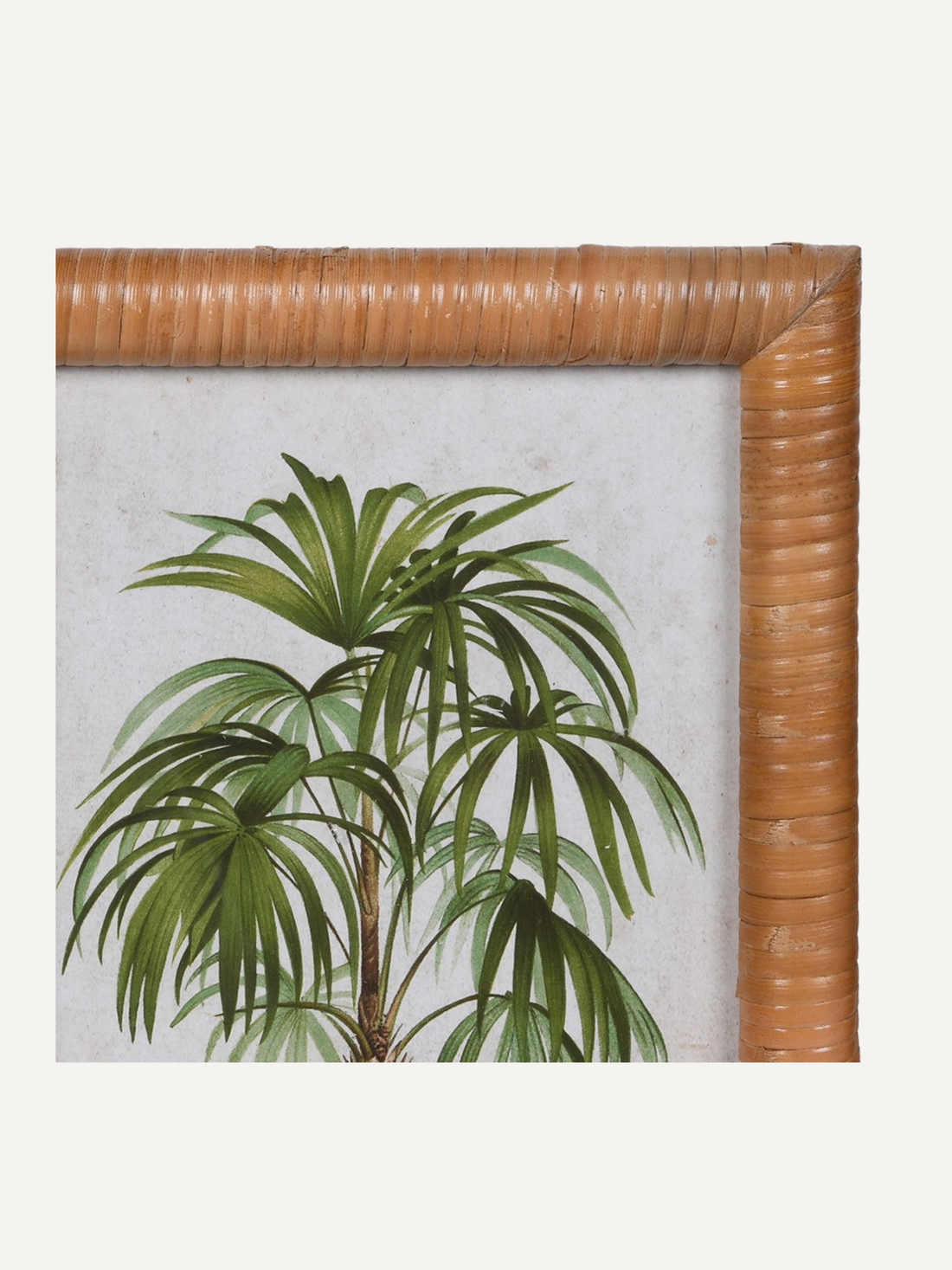 Framed rattan artwork with a green plant design on a white background