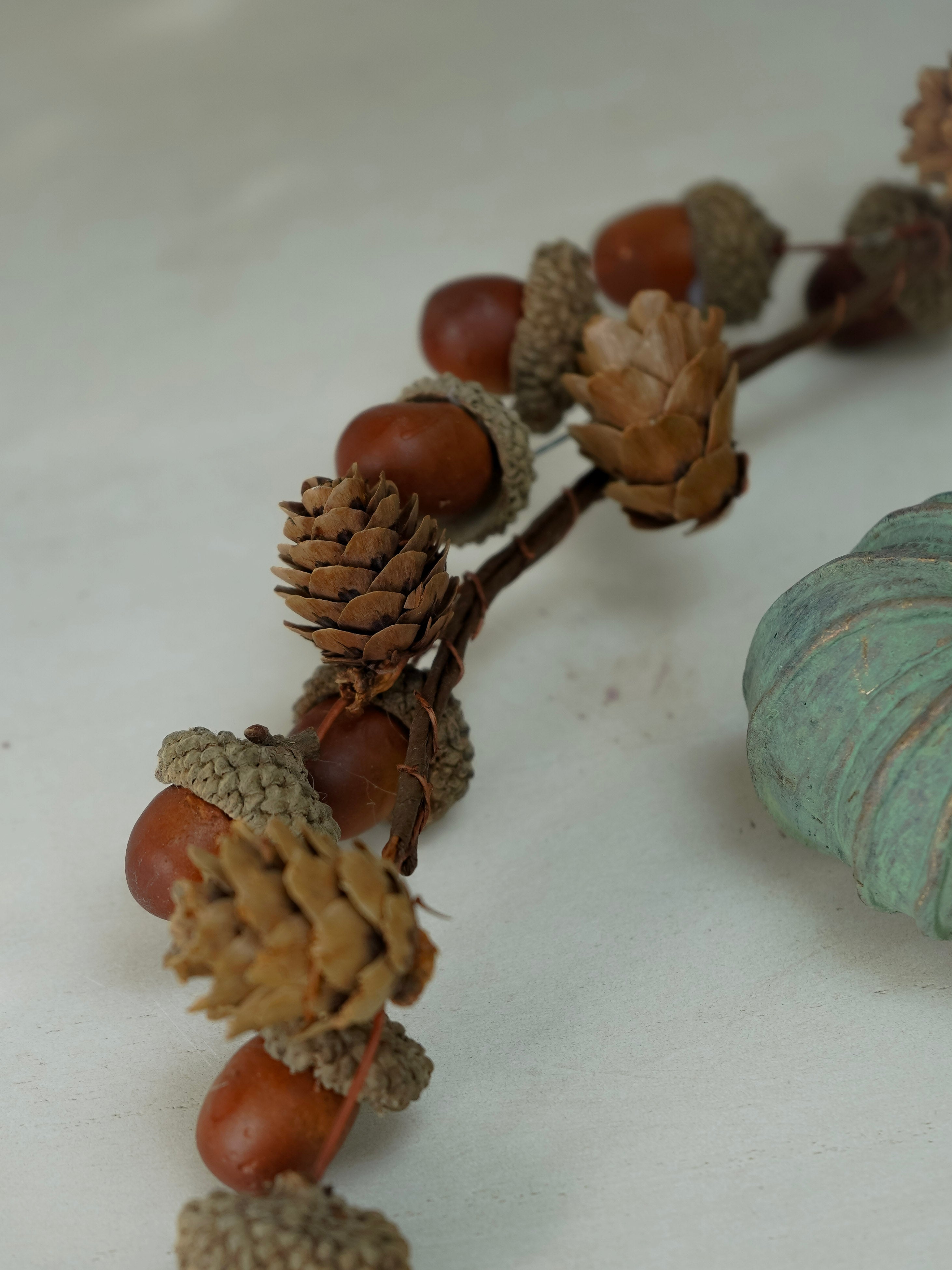 Close-up of acorns and pine cones on a white surface