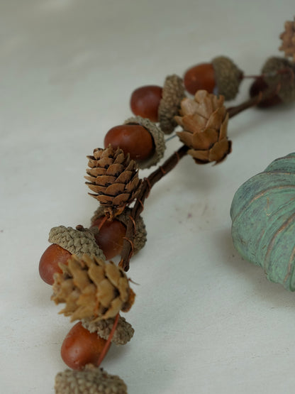 Close-up of acorns and pine cones on a white surface