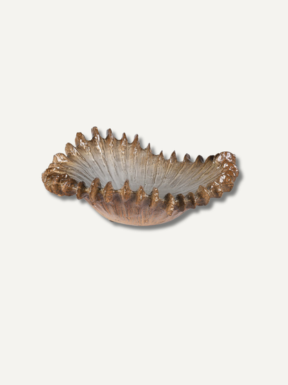 A sculptural, shell-like bowl with a textured, ribbed exterior in earthy brown and bronze tones, and a smooth, frosted interior, shown on a plain off-white background.