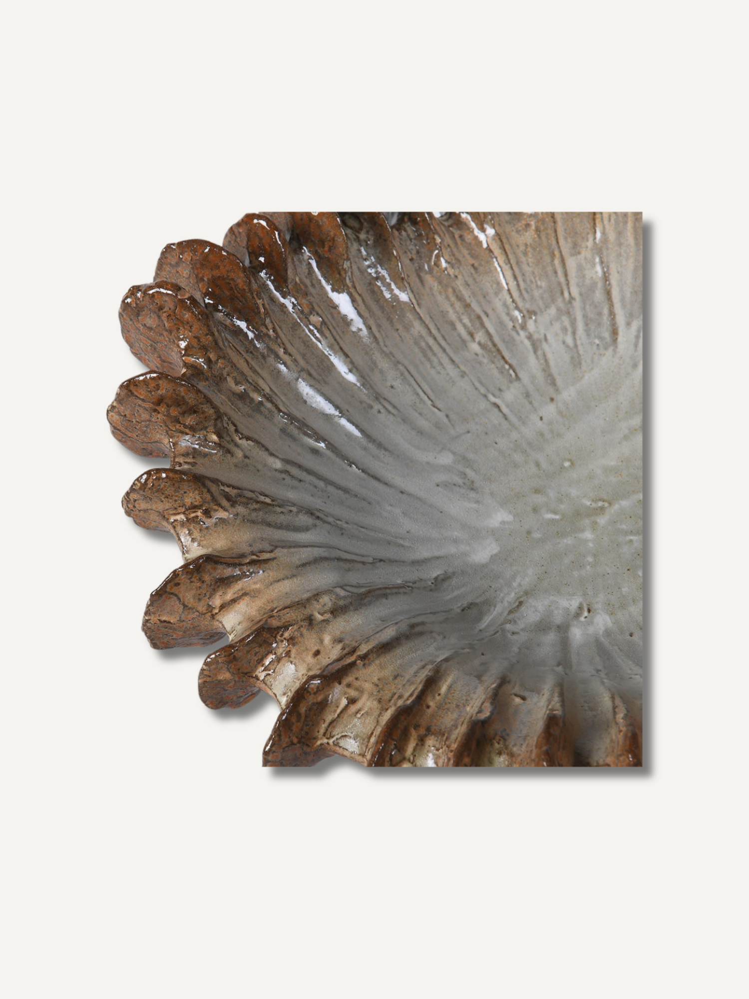 A close-up of a textured, fan-shaped object with layered brown and gray radial patterns, shown against a plain off-white background.