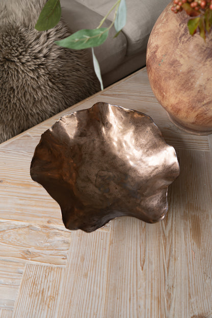 Bronze decorative object on a wooden surface with a plant and textured pillow in the background