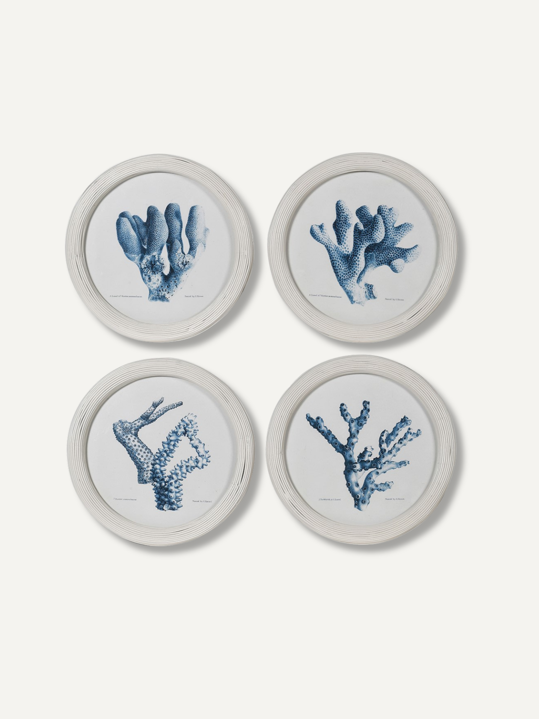 Four round white-framed wall art prints arranged in a 2x2 grid, each featuring a blue coral or sea fan illustration on a white background, set against a light beige wall.