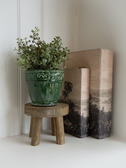 Green potted plant on a wooden stool with two books in the background.