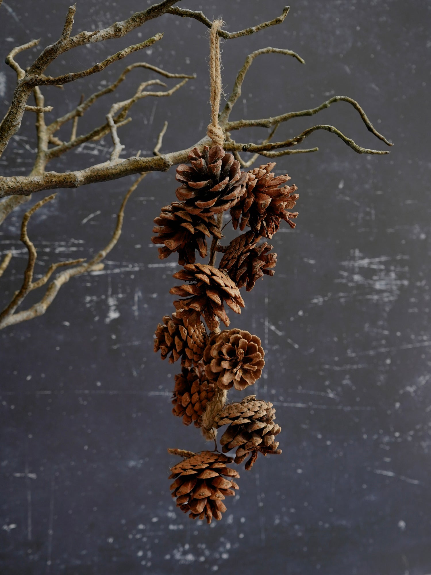 Rustic Jute Hanging Pinecones