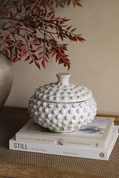 Decorative white textured jar on top of books with a branch in the background