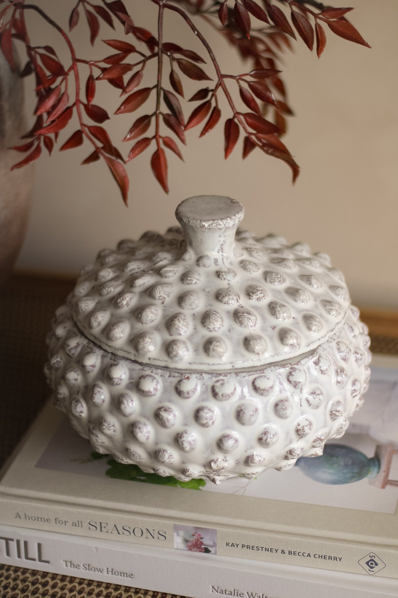 Decorative white textured jar on top of books with a plant in the background