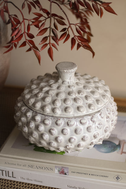 Decorative white textured jar on top of books with a plant in the background