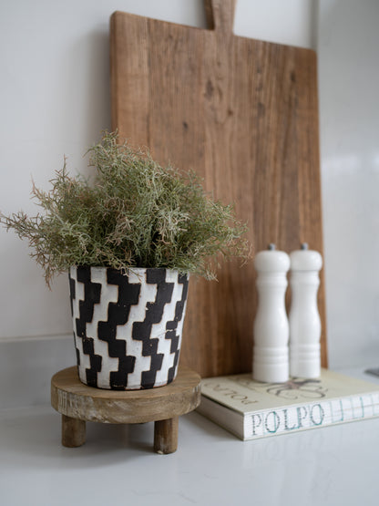 Potted plant on a wooden stand with a wooden cutting board and books in the background.