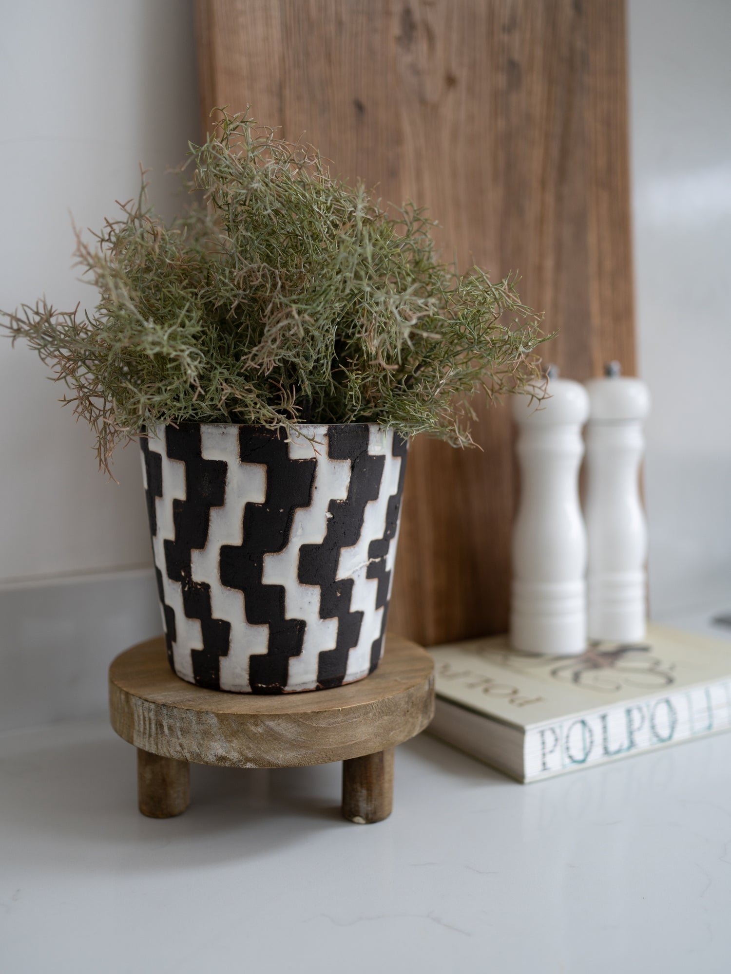 Potted plant on a wooden stand with a checkered pattern, next to a book and salt and pepper shakers.