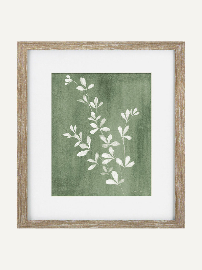 Sage Botanical III Framed Wall Art