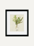 Sage Cottage Herbs Framed Wall Art