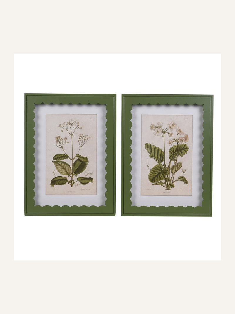 Two framed botanical prints with green  scalloped frames on a white background